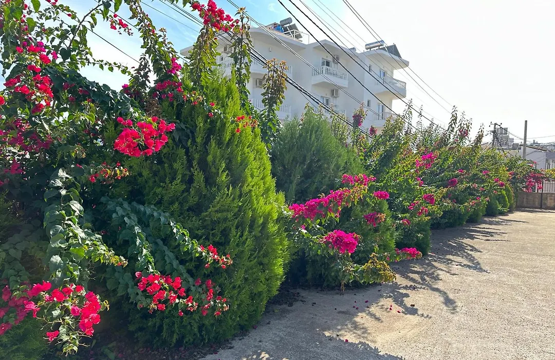 Villa Nicolaos Ksamil-1