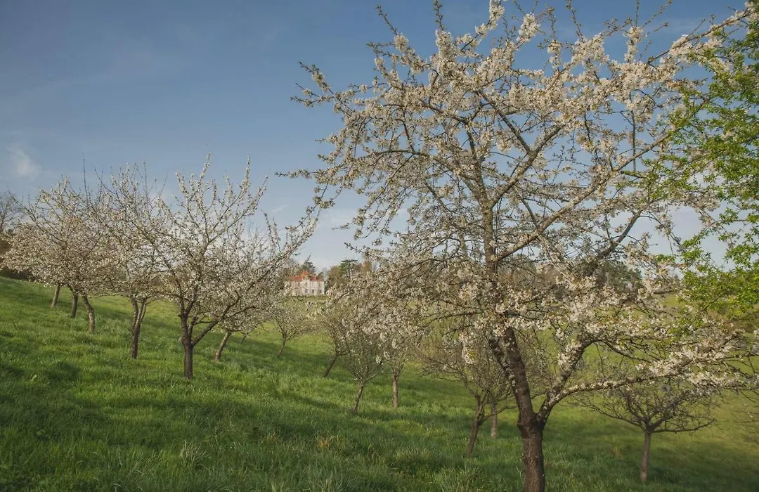 Villa Korum-1