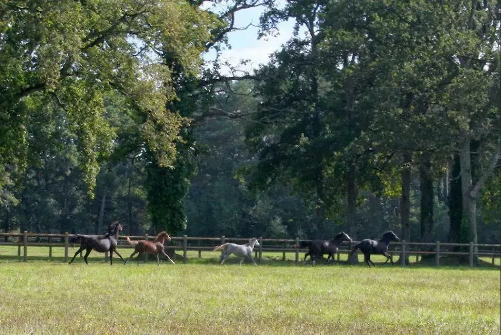 Haras du Vignault-1