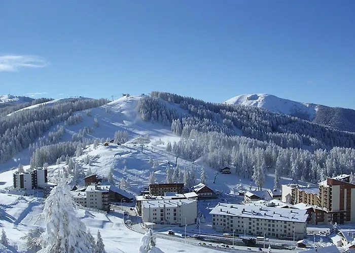 Haut de Chalet L'entasse n°9