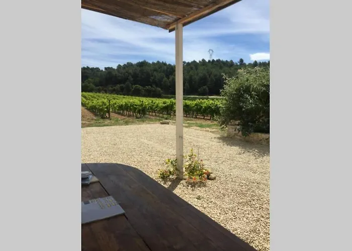 Cabanon de charme en plein coeur des vignes