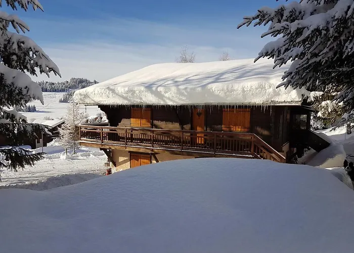 APPARTEMENT PLEIN SUD AUX SAISIES n3