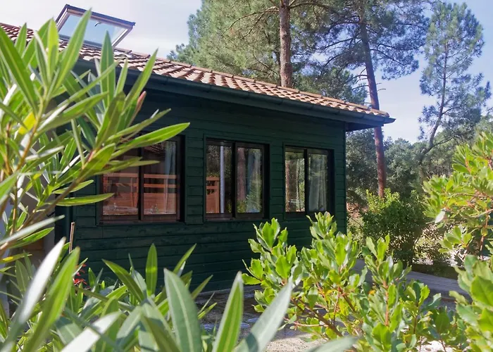 Villa sous les pins de Moliets