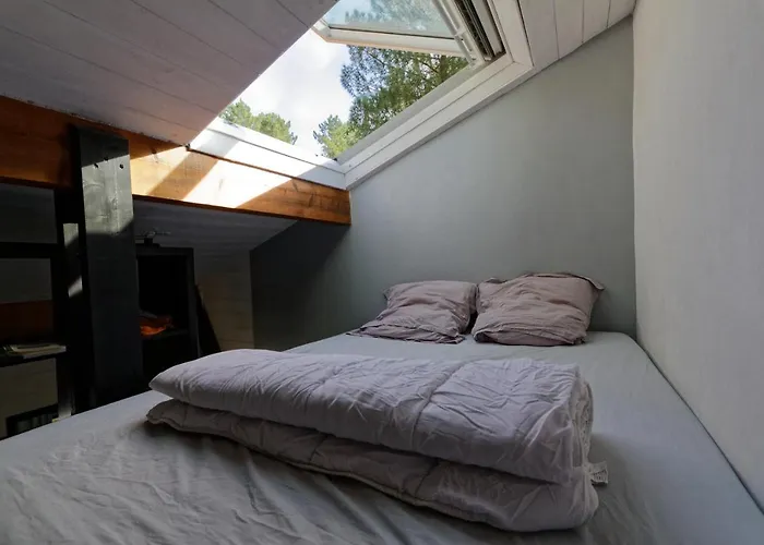 Villa sous les pins de Moliets