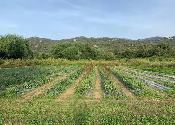 Maison typique de campagne au cœur de la nature .