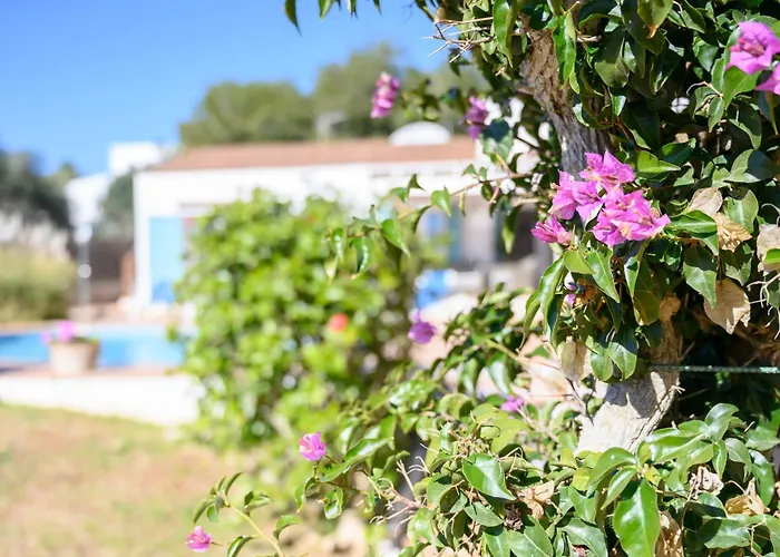 Quite Villa With Private Pool In Binibeca