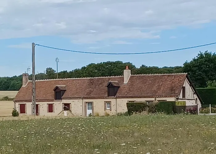 Gîtes les Terriers