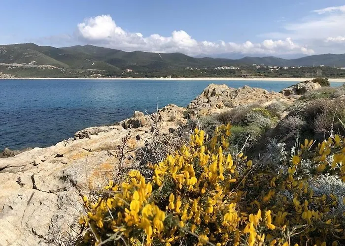 Villa Agliastru à 900m de la plage de Lozari
