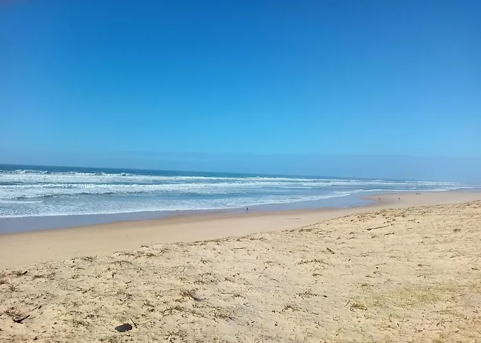 Maison au milieu des pins entre golf et plage