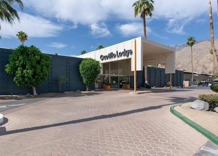 Modern Bungalow In Historic Ocotillo Lodge!