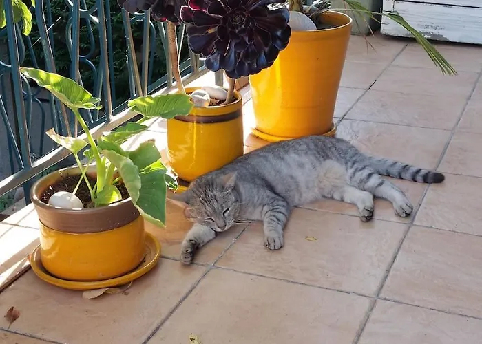 chez moi