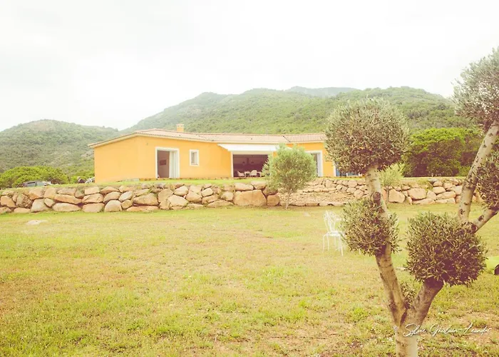 Grande villa de standing avec piscine à Sagone en Corse