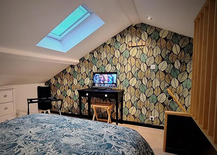 Maison Le Figuier TREVOUX climatisée