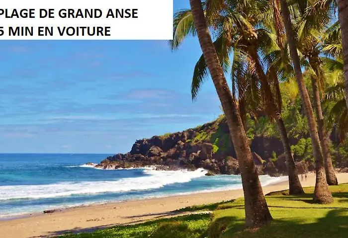 Les lataniers 2 - Vue sur mer
