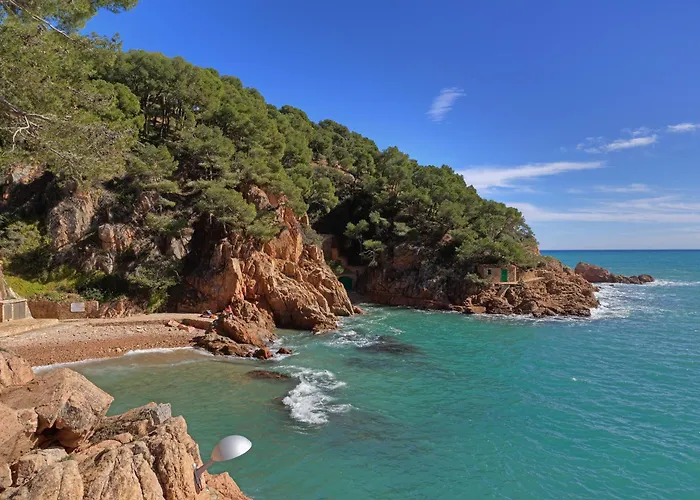 Cala Nostra - Puig