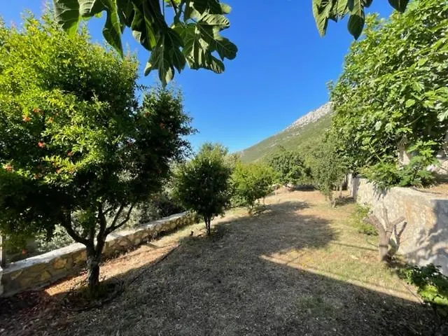 Bezirgan Inn Kalkan