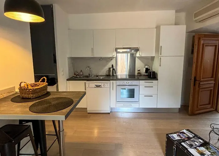 Appartement Biot Village