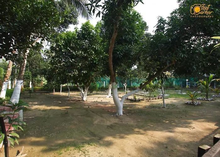 Greenview Haven