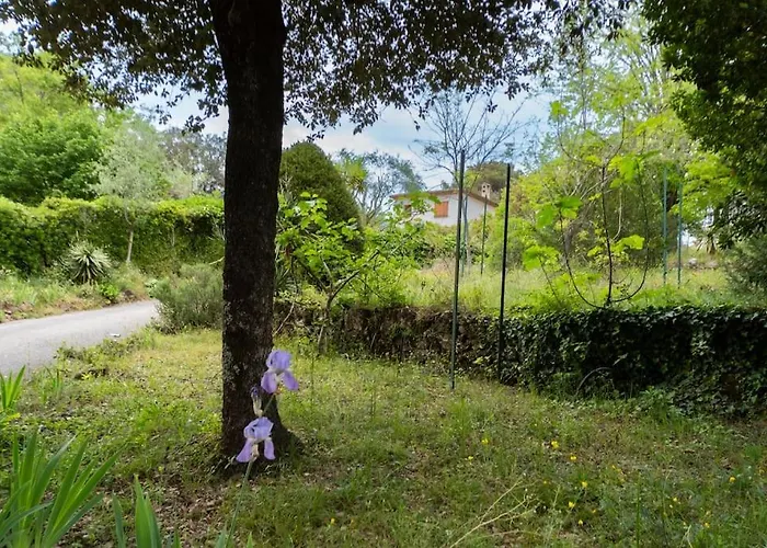 La Provence : Piscine, Tennis, Cinéma&Plus