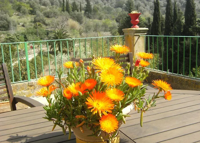 Agroturisme Finca Sa Maniga