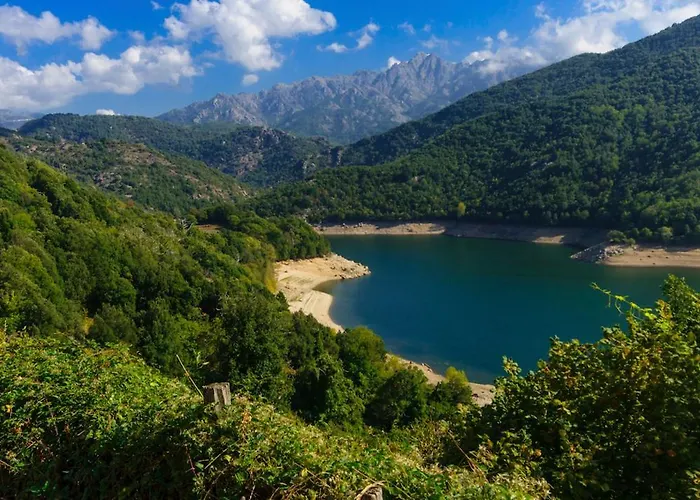 Maison de Vacances Avec Piscine Privée en Corse, BORGO
