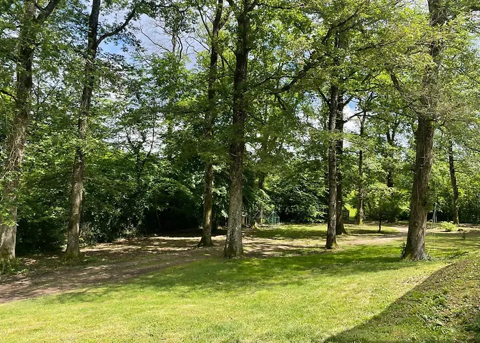 Au cœur des Bois