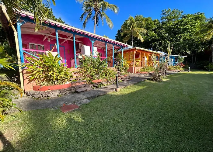 Hôtel accueillant les animaux: Le Nid Tropical