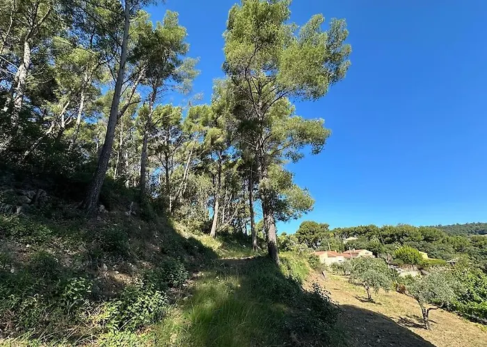 Ollioules, au coeur de la pinède, proche de la mer