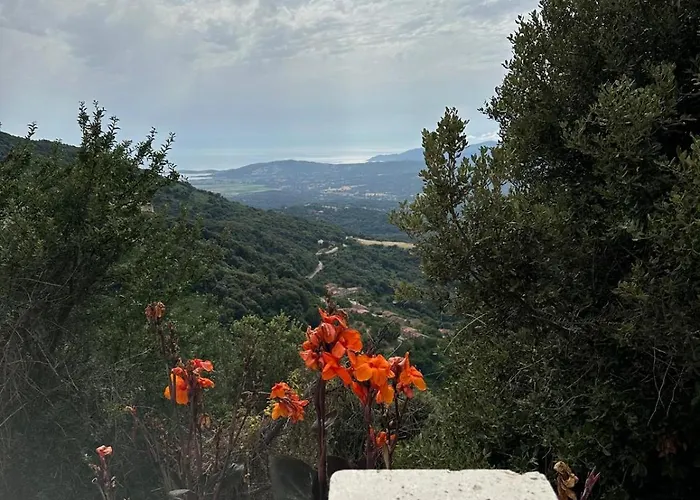 VillaRadriimas 2 ha de confort et de tranquillité avec vue sur la mer