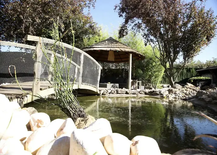 VILLA SAINTE BAUME Piscine Jacuzzi tout confort