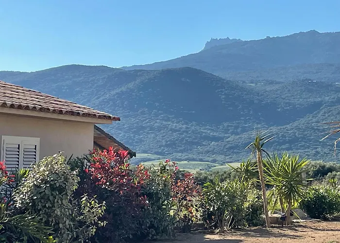 Résidence Patios di Pruno