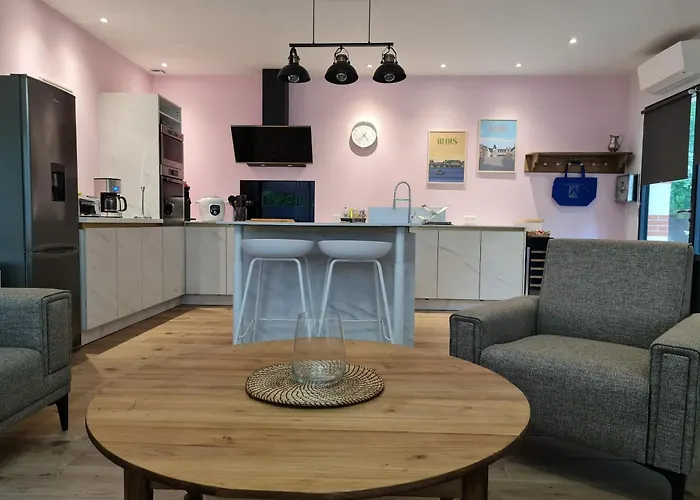 AU B'HONNEUR DE BLOIS Gîte 5 étoiles pour 6 personnes avec JACUZZI
