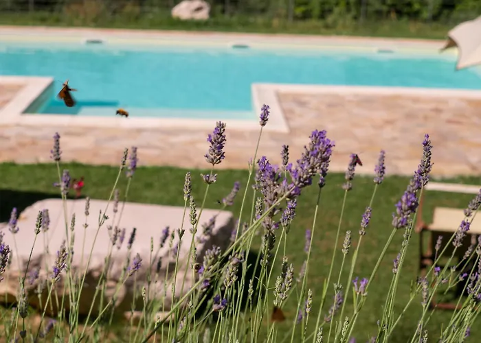 Lacelletta Country House