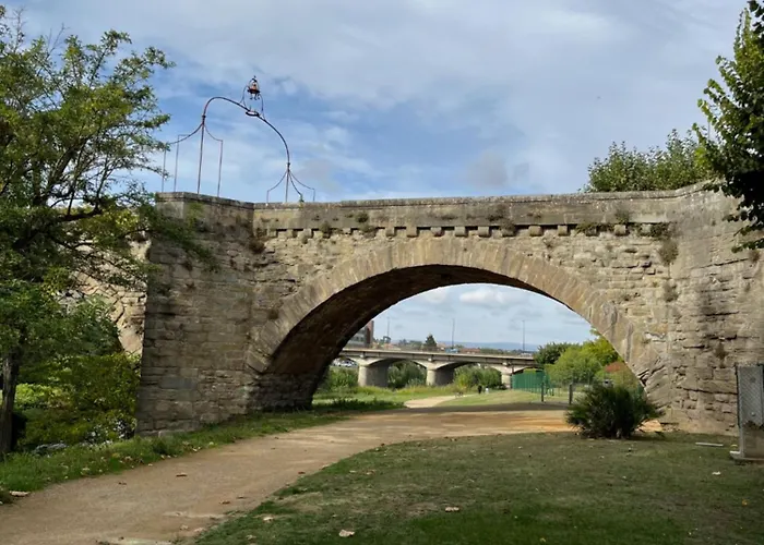La maison du pont vieux - emplacement de parking gratuit - Proche Cité médiévale