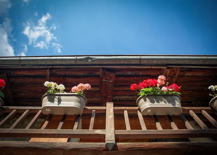 Marmotte Mountain Manor