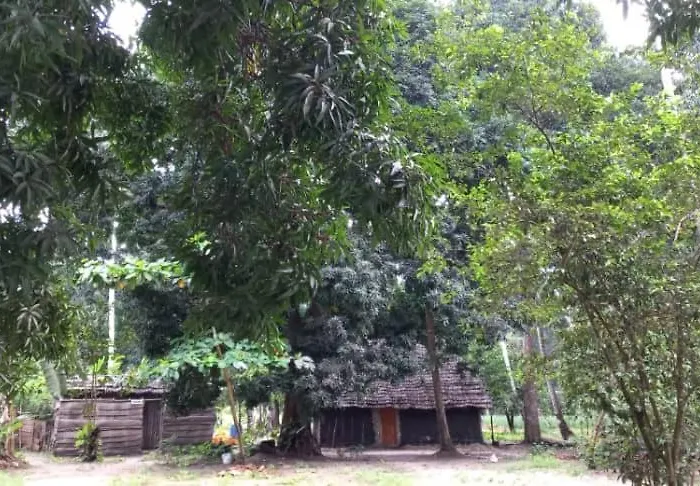 Kv Jungle Bungalows