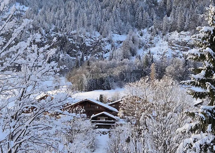 Le Petit Chalet du Chinaillon