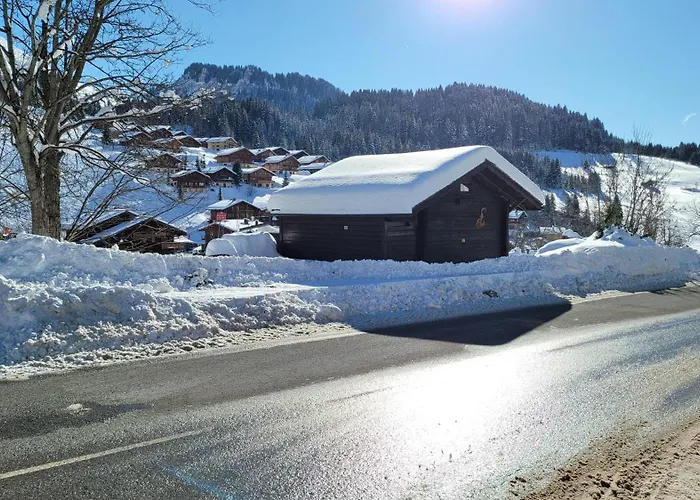 Le Petit Chalet du Chinaillon