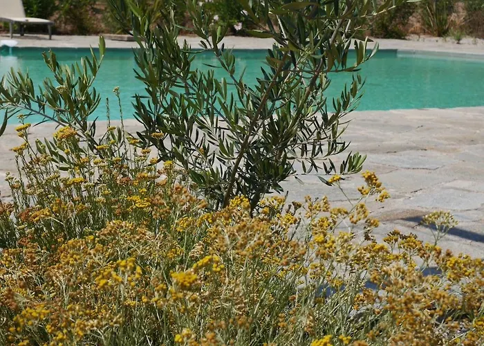 La tonnelerie, belle villa pour 9 personnes au coeur d'un vignoble avec piscine