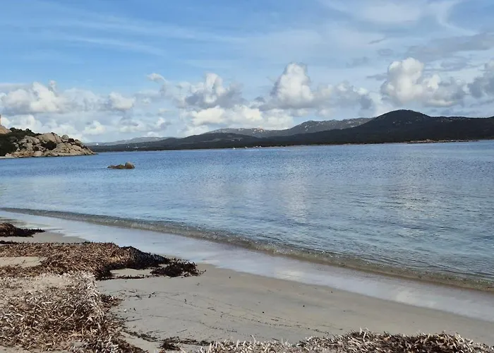 Elsanais