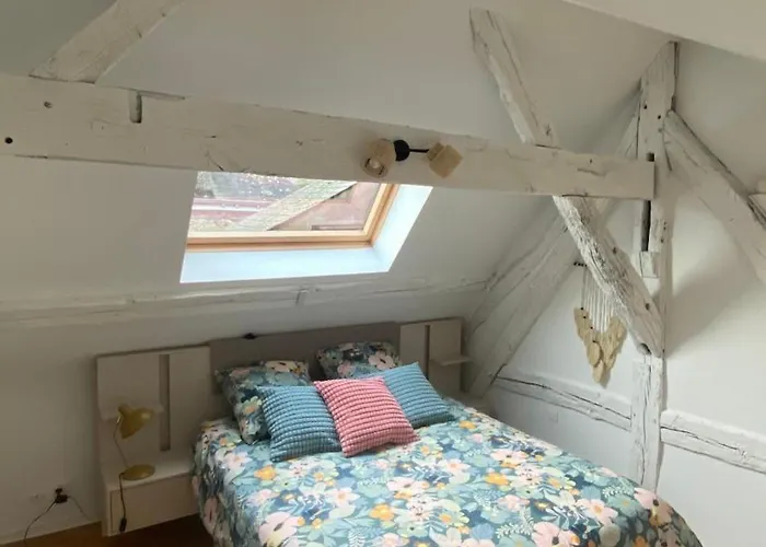 La Léonard île au coeur de l île d or logement avec chambre climatisée