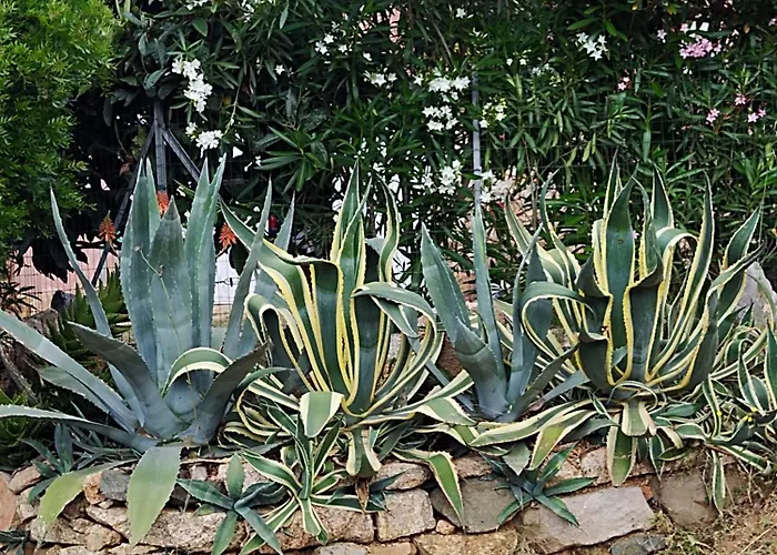 Villa individuelle avec jardin