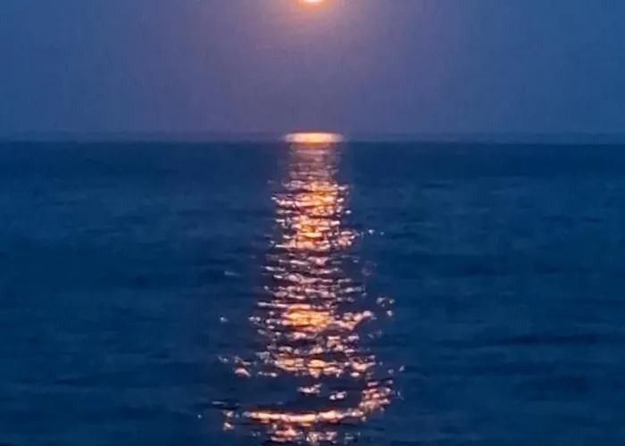 Le rivage