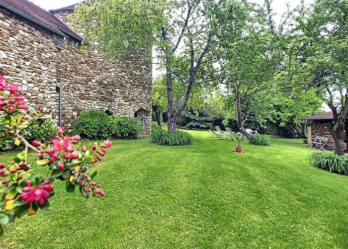 3 Gites au grande Vigne
