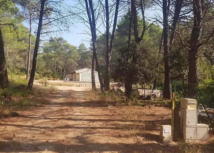 Mazet du ruisseau
