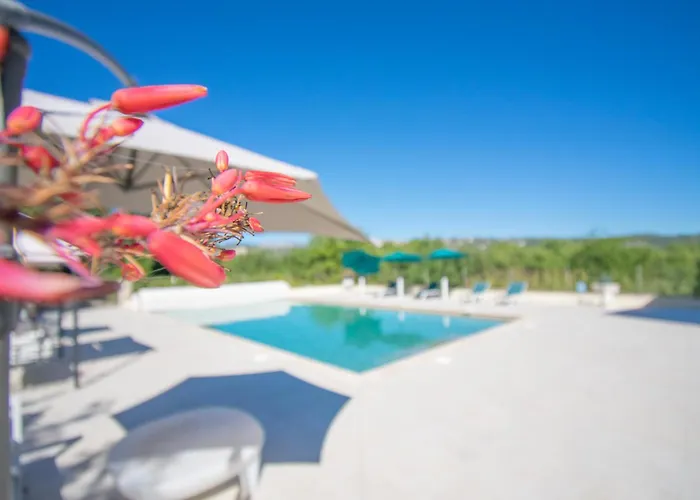 Charmante villa avec grande piscine au calme