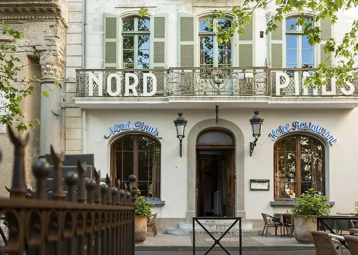 Grand Nord-Pinus