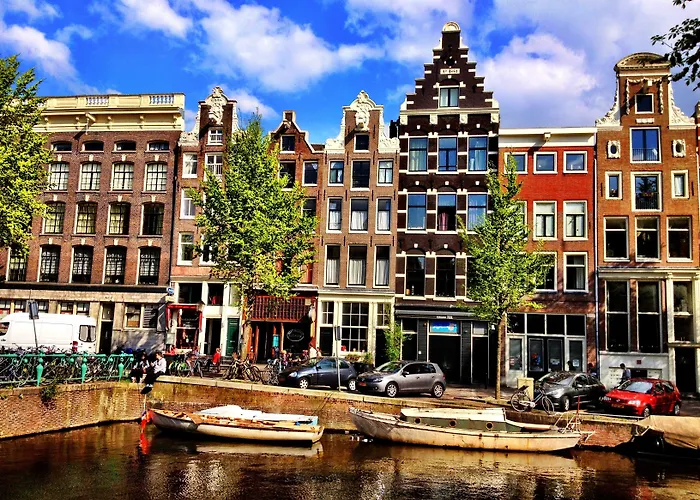 Tulip Of Amsterdam