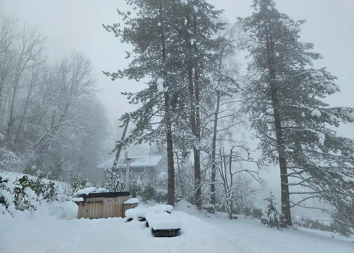 Venez chez vous - Chalet le Dahu