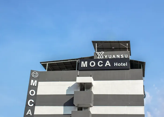 Moca